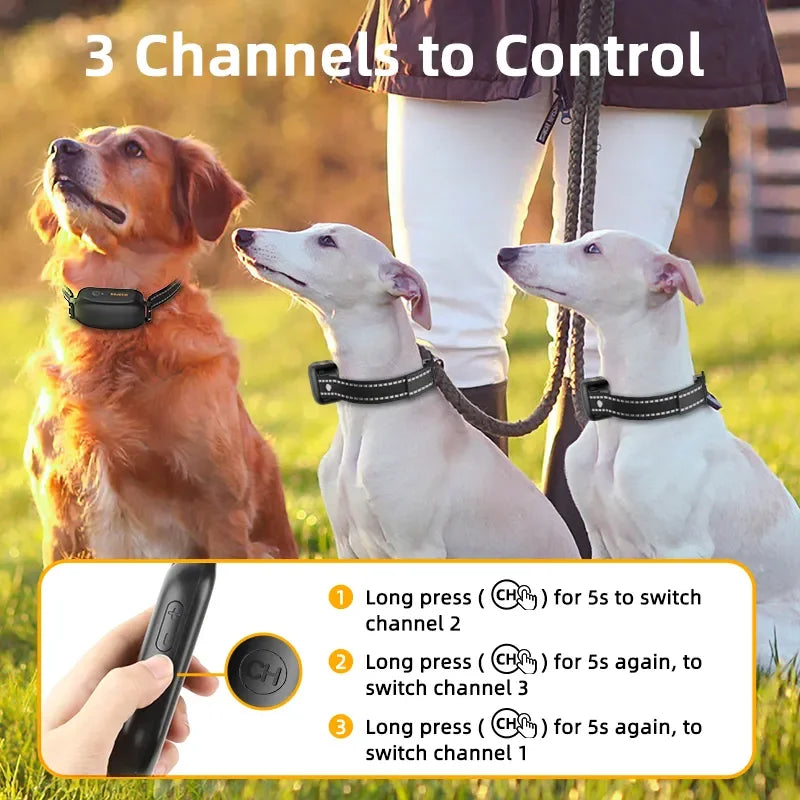 Dog Training Collar with Remote Waterproof and Rechargeable for Behavior Training