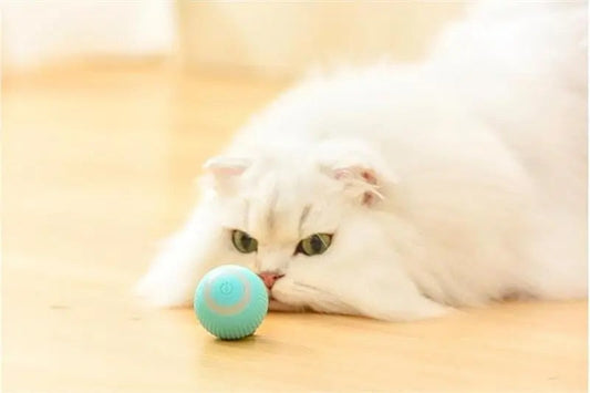 2-in-1 Interactive Hunting Toy for Dogs and Cats with Adjustable Difficulty