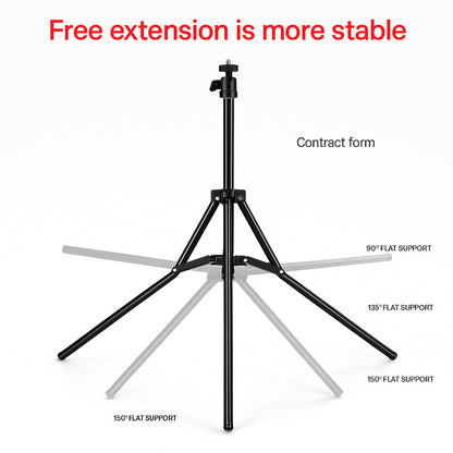 26 cm LED Ring Light with Adjustable Stand and Phone Holder