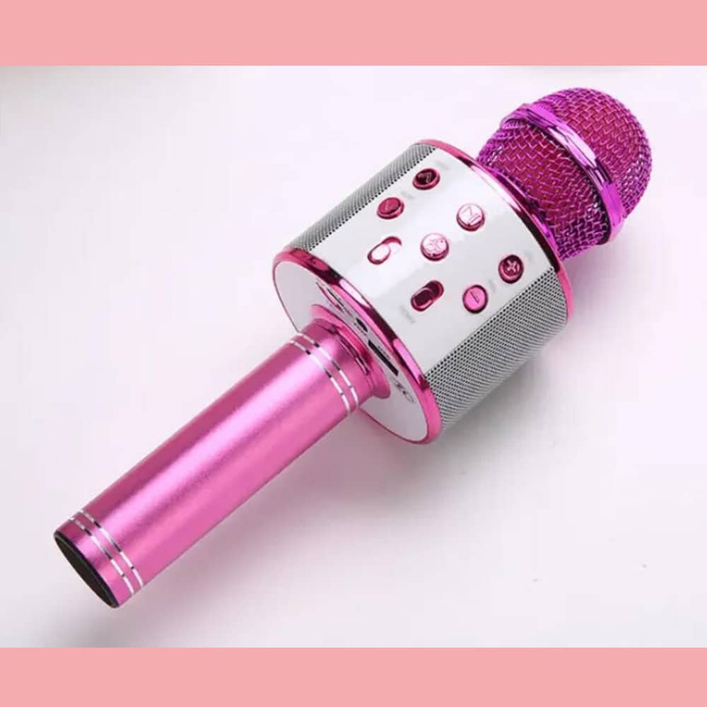 Bluetooth Karaoke Microphone with Built-In Speaker, Echo & Sound Controls