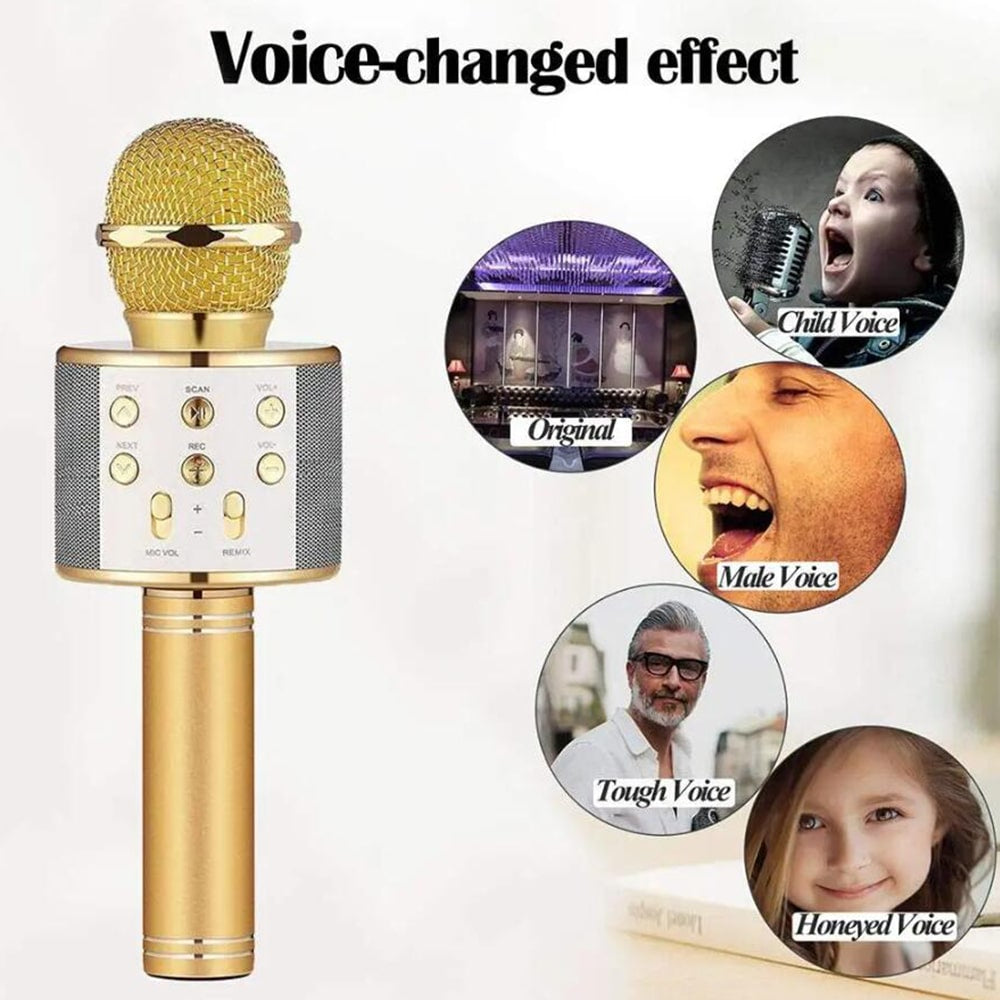 Bluetooth Karaoke Microphone with Built-In Speaker, Echo & Sound Controls