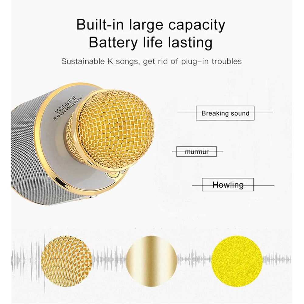 Bluetooth Karaoke Microphone with Built-In Speaker, Echo & Sound Controls