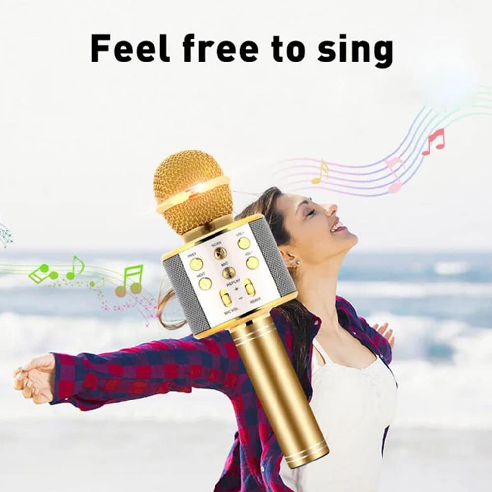 Bluetooth Karaoke Microphone with Built-In Speaker, Echo & Sound Controls