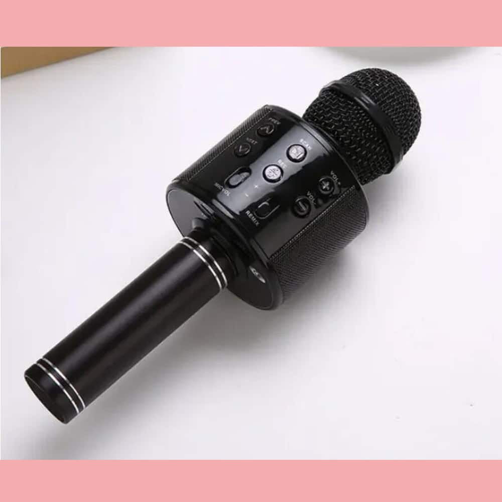 Bluetooth Karaoke Microphone with Built-In Speaker, Echo & Sound Controls