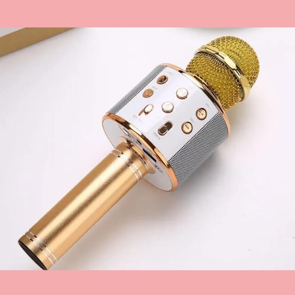 Bluetooth Karaoke Microphone with Built-In Speaker, Echo & Sound Controls