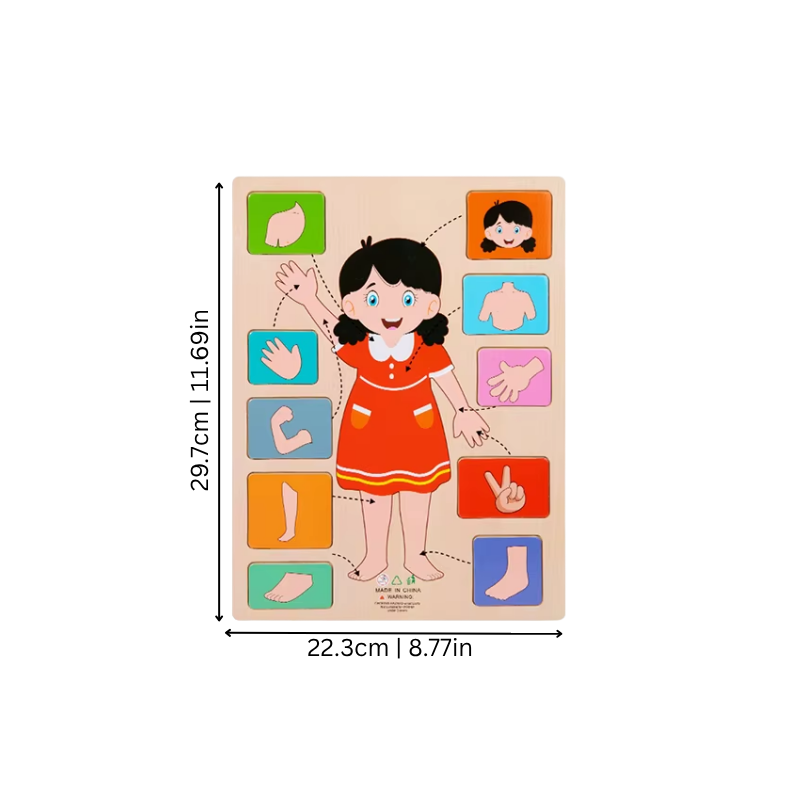 Children's Wooden Human Body Anatomy Puzzle