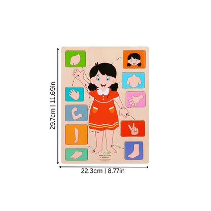 Children's Wooden Human Body Anatomy Puzzle