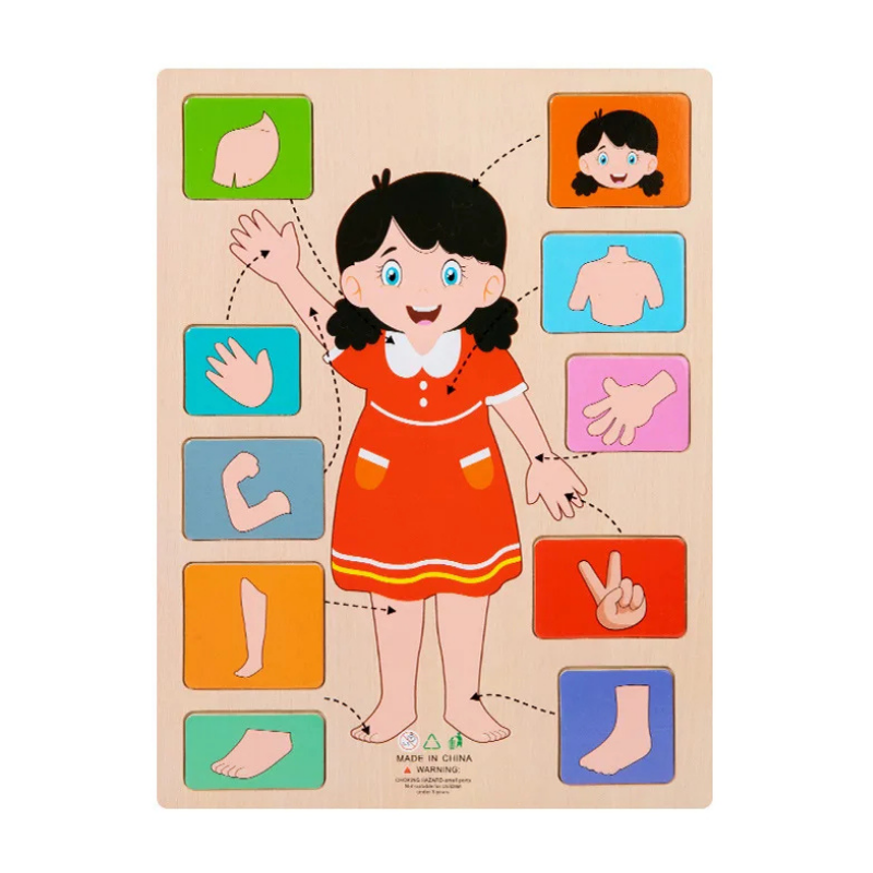 Children's Wooden Human Body Anatomy Puzzle