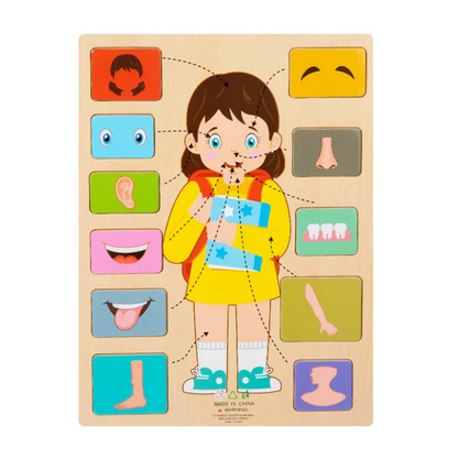 Children's Wooden Human Body Anatomy Puzzle