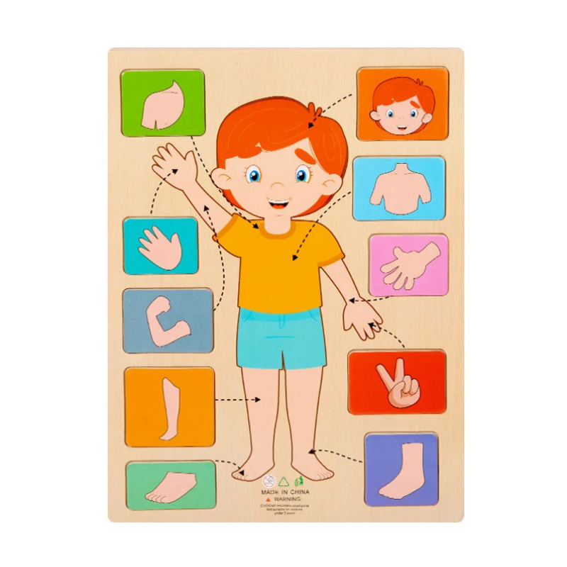 Children's Wooden Human Body Anatomy Puzzle