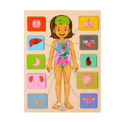 Children's Wooden Human Body Anatomy Puzzle