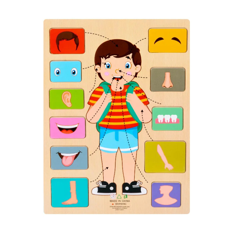 Children's Wooden Human Body Anatomy Puzzle