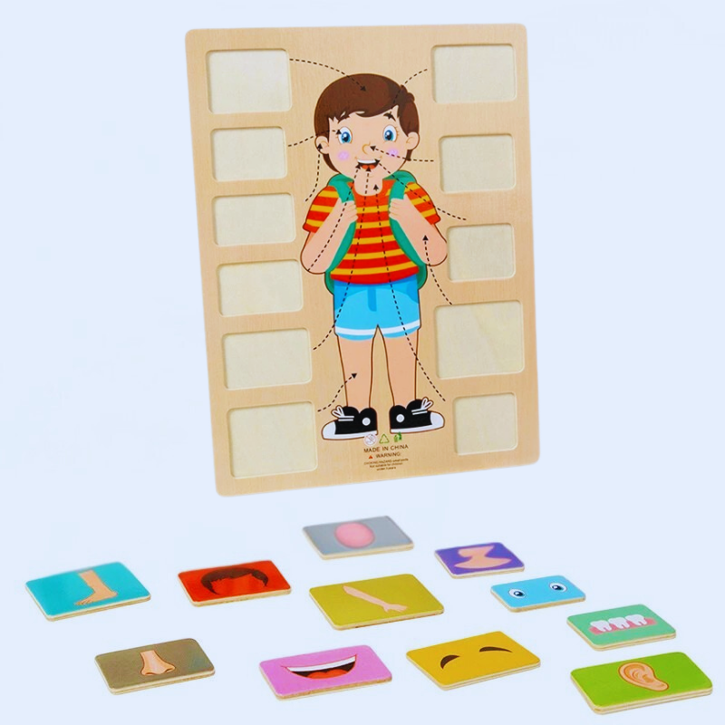 Children's Wooden Human Body Anatomy Puzzle