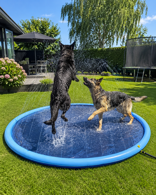 Dog Splash Pool with Adjustable Water Sprinkler – BPA-Free PVC