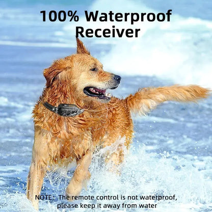 Dog Training Collar with Remote Waterproof and Rechargeable for Behavior Training