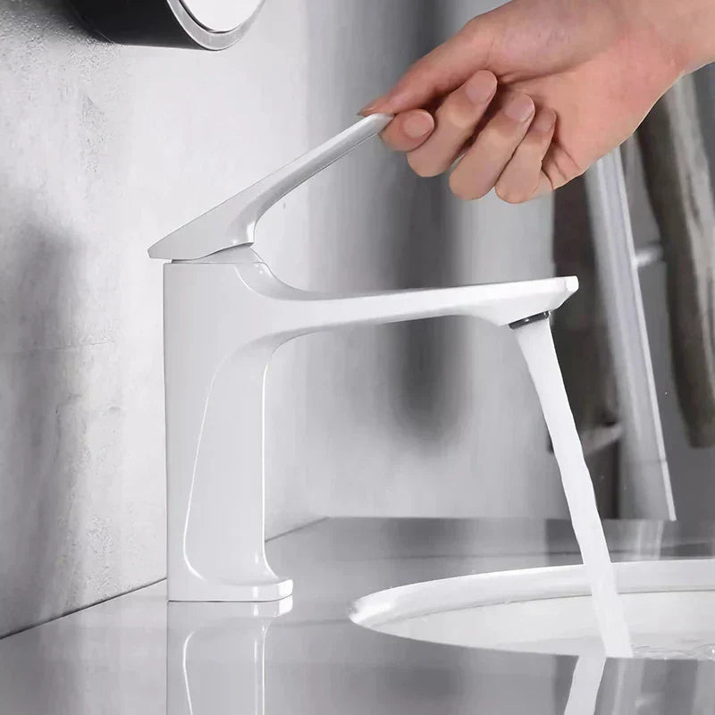 Elegant Chrome Bathroom Tap with Single Lever Control