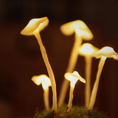 Enchanted Mushroom DIY Glass Lamp Kit Create Your Own Magical Night Light