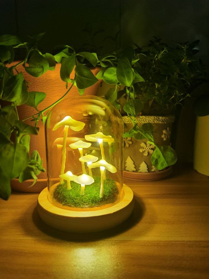 Enchanted Mushroom DIY Glass Lamp Kit Create Your Own Magical Night Light
