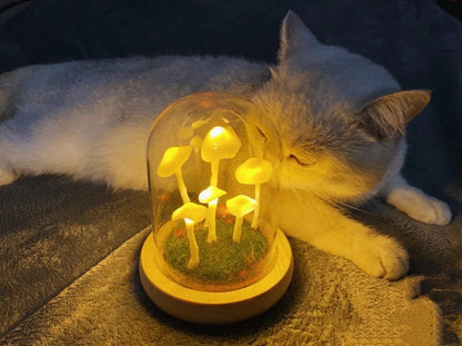 Enchanted Mushroom DIY Glass Lamp Kit Create Your Own Magical Night Light