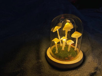 Enchanted Mushroom DIY Glass Lamp Kit Create Your Own Magical Night Light