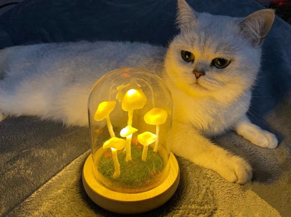 Enchanted Mushroom DIY Glass Lamp Kit Create Your Own Magical Night Light