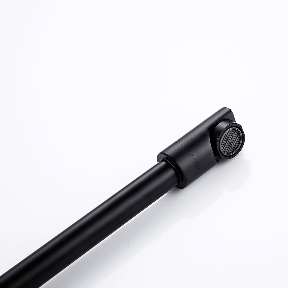 Flexible Kitchen Tap with Pull Out Spray Stainless Steel