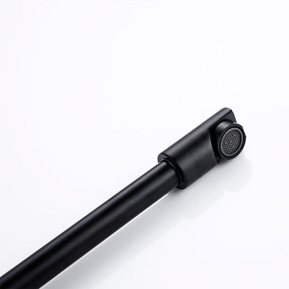 Flexible Kitchen Tap with Pull Out Spray Stainless Steel