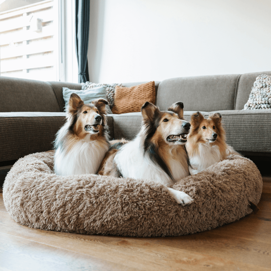 Fluffy Donut Dog Bed with Raised Edge and Plush Faux Fur