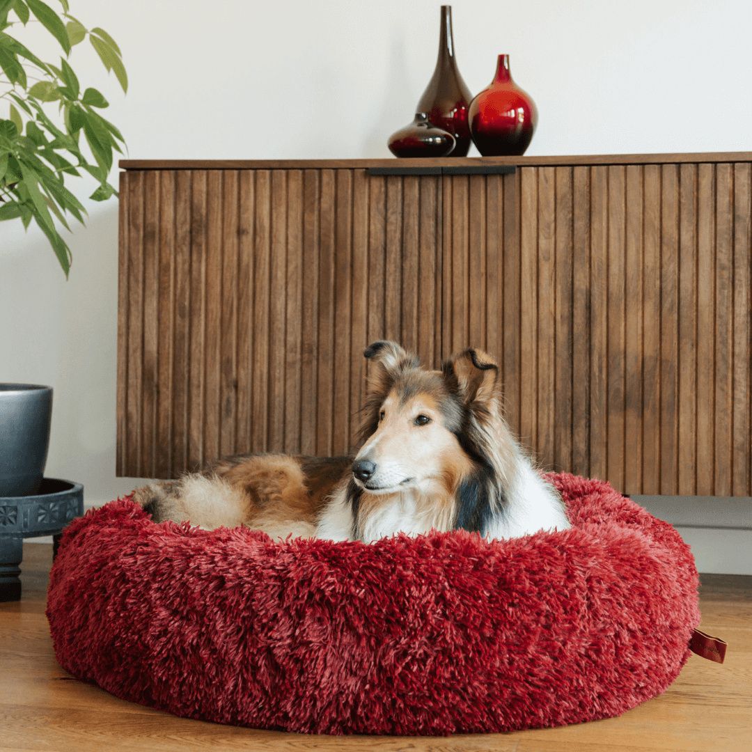 Fluffy Donut Dog Bed with Raised Edge and Plush Faux Fur