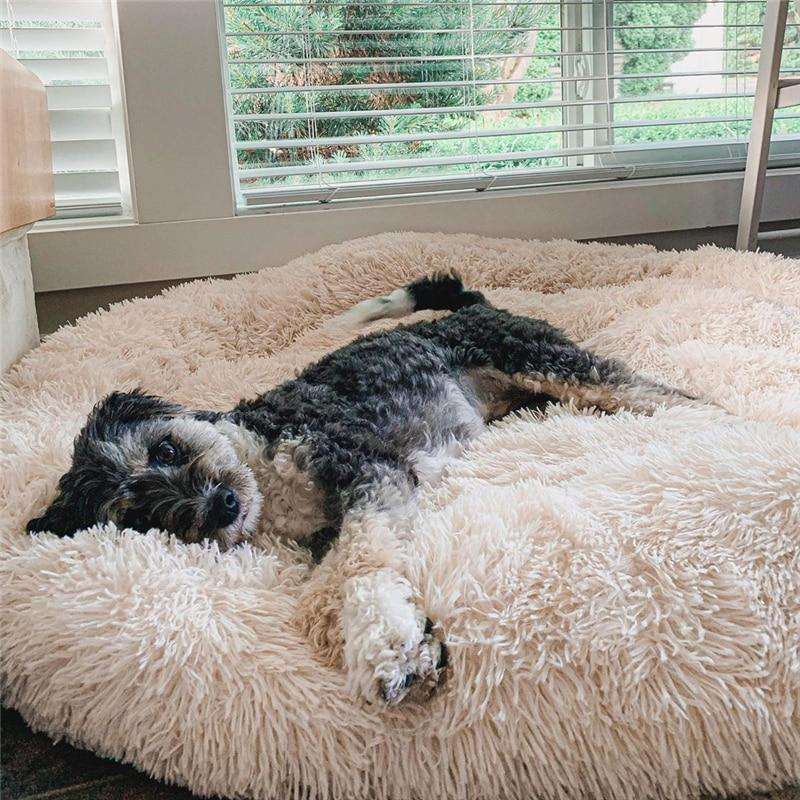 Fluffy Donut Dog Bed with Raised Edge and Plush Faux Fur