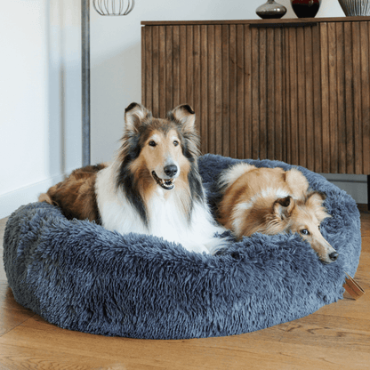 Fluffy Donut Dog Bed with Raised Edge and Plush Faux Fur