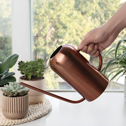 Fluora Stainless Steel Watering Can Long Spout 1.5L
