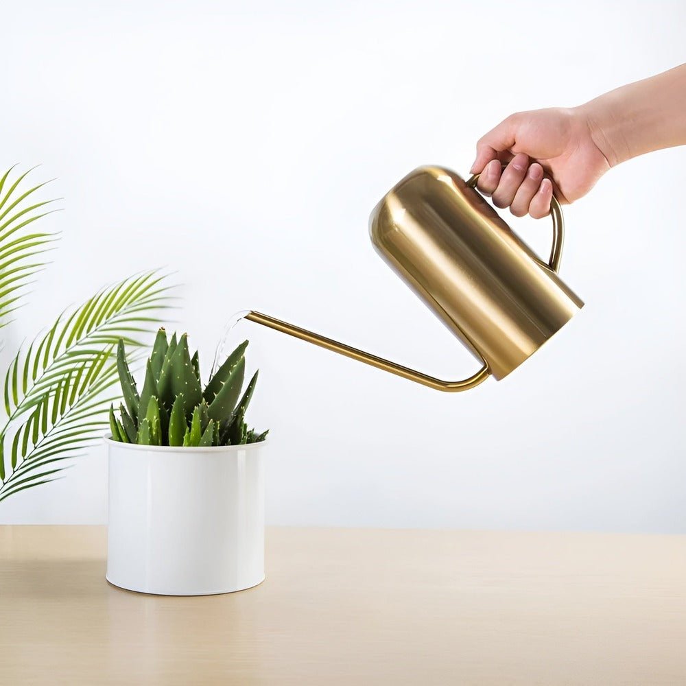 Fluora Stainless Steel Watering Can Long Spout 1.5L
