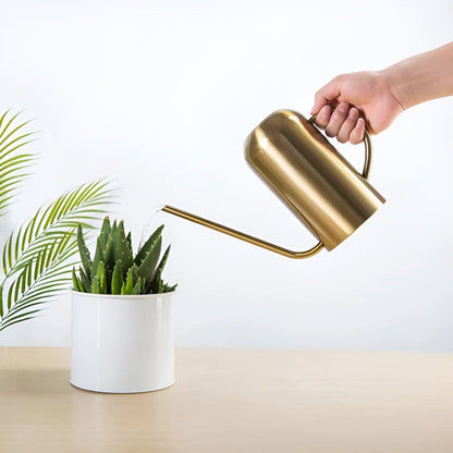 Fluora Stainless Steel Watering Can Long Spout 1.5L