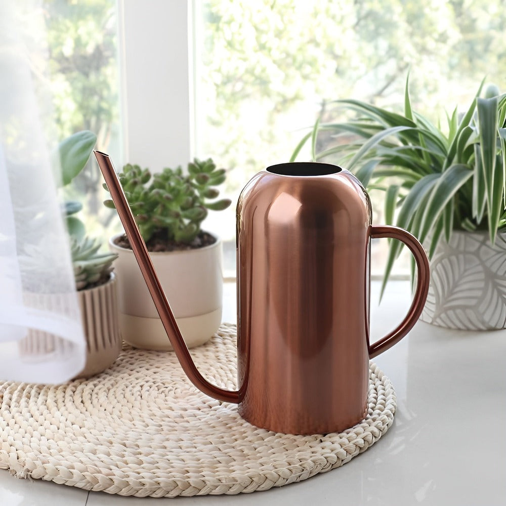 Fluora Stainless Steel Watering Can Long Spout 1.5L