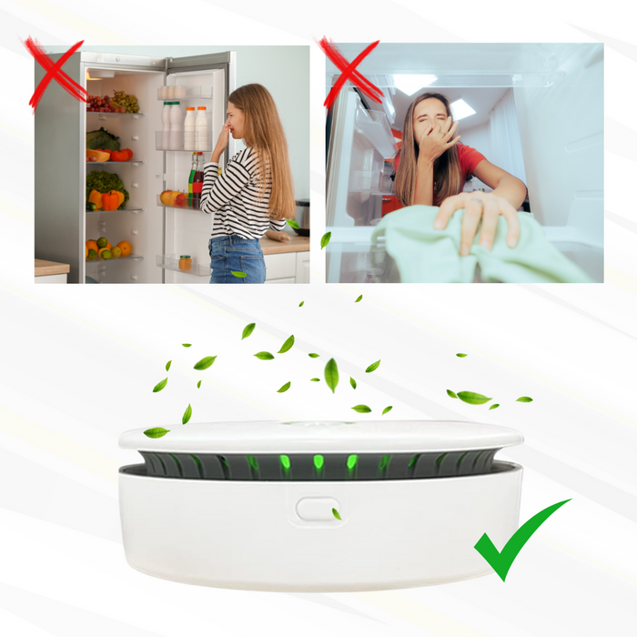 FreshAir Portable Ozone Odour Eliminator Compact Air Purifier