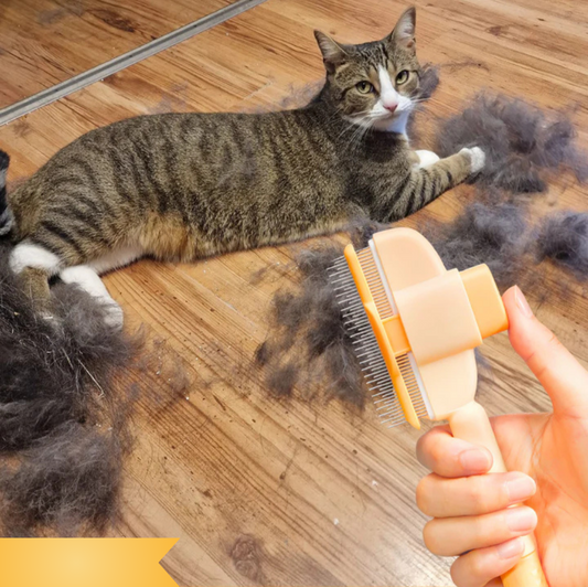 Gentle Cat Grooming Brush for Loose Fur and Everyday Care