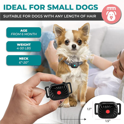 Gentle Vibration Training Collar for Small Dogs