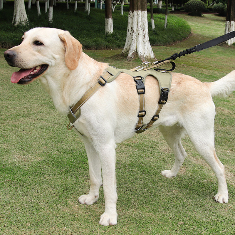 GripGuard Reflective No Pull Dog Harness with Adjustable Secure Fit
