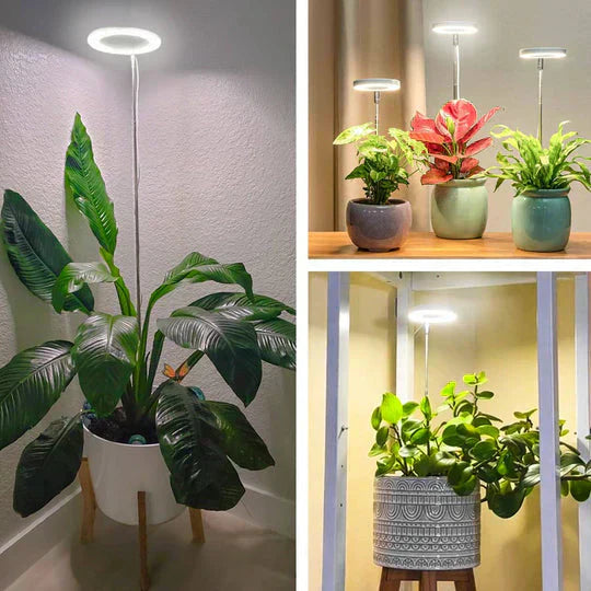 GrowGlow Adjustable LED Plant Lamp Full Spectrum Grow Light
