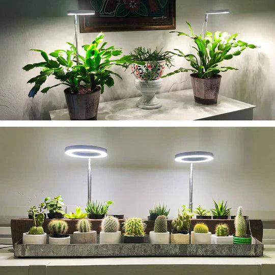 GrowGlow Adjustable LED Plant Lamp Full Spectrum Grow Light