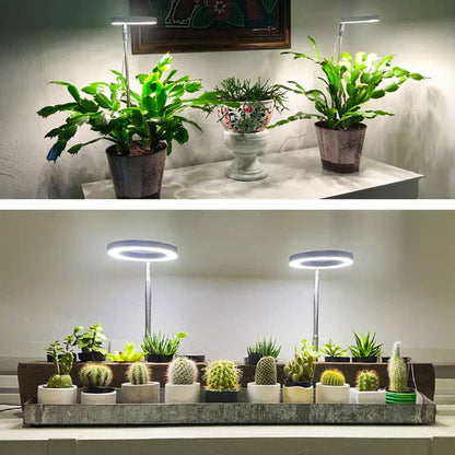 GrowGlow Adjustable LED Plant Lamp Full Spectrum Grow Light