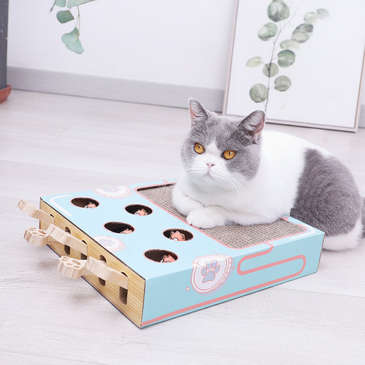 Scatola puzzle interattiva per gatti con tiragraffi, gioco multilivello