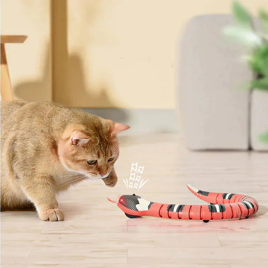 Interactive Snake-Shaped Cat Toy for Chasing and Play