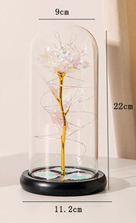 LED Rose Dome Light with Glass Cover and Wooden Base