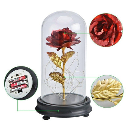 LED Rose Dome Light with Glass Cover and Wooden Base