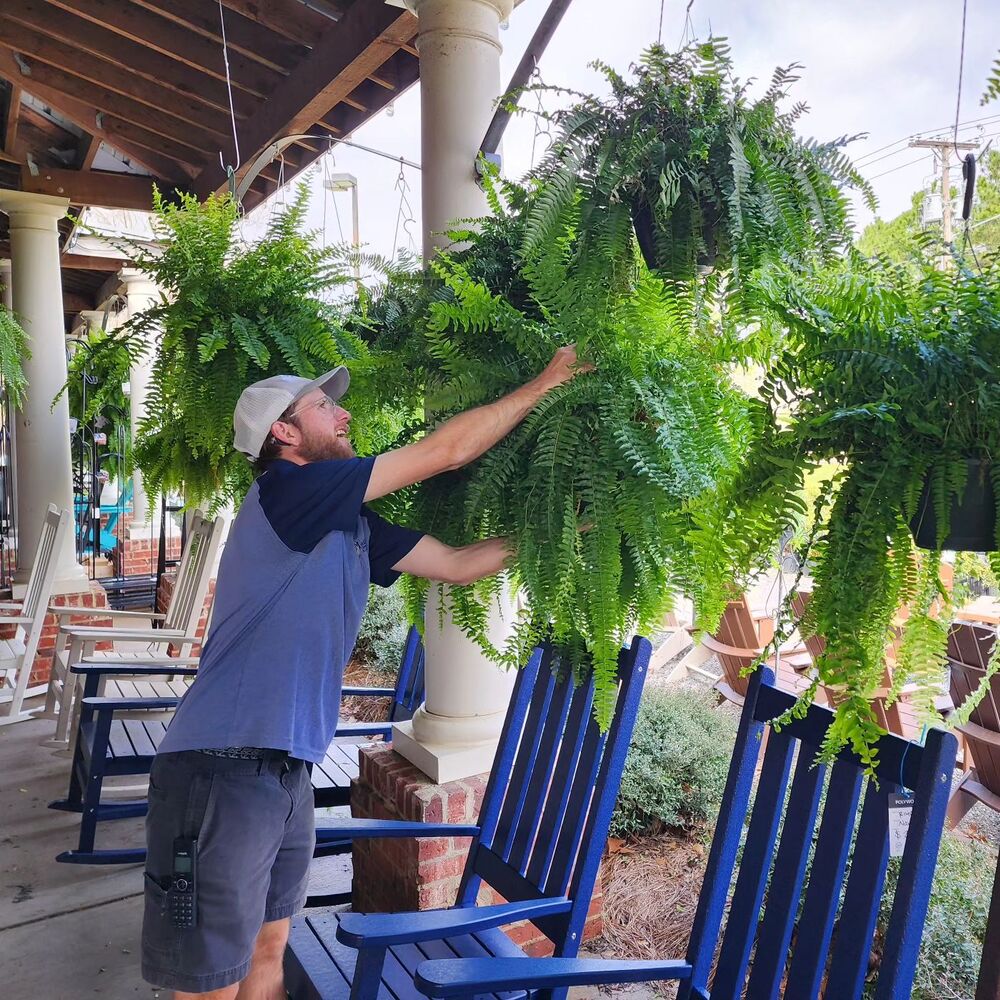 Lifelike Artificial Boston Fern for Outdoor and Indoor Decor