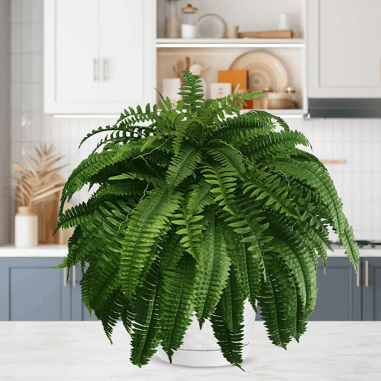 Lifelike Artificial Boston Fern for Outdoor and Indoor Decor