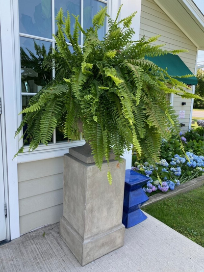 Lifelike Artificial Boston Fern for Outdoor and Indoor Decor