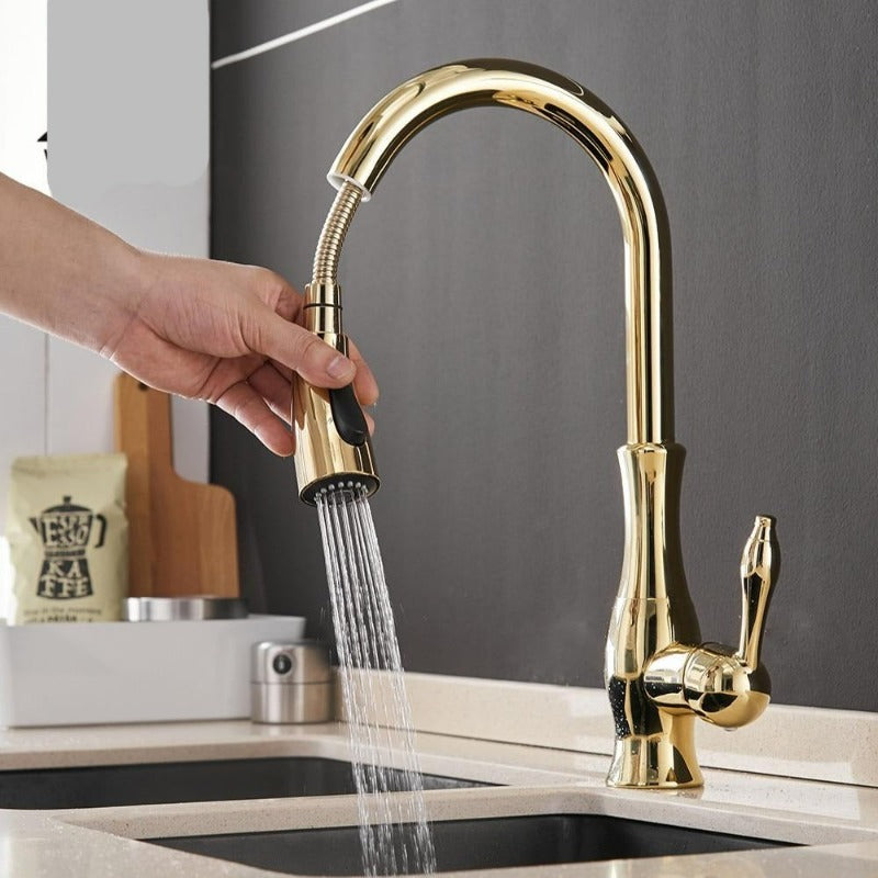 Modern Pull Out Kitchen Mixer Tap with Extendable Spray Head